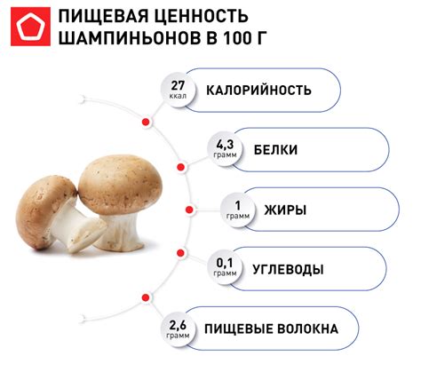 Состав и питательная ценность шампиньонов для диабетиков