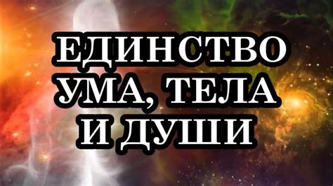 Состояние покоя тела: причины и последствия