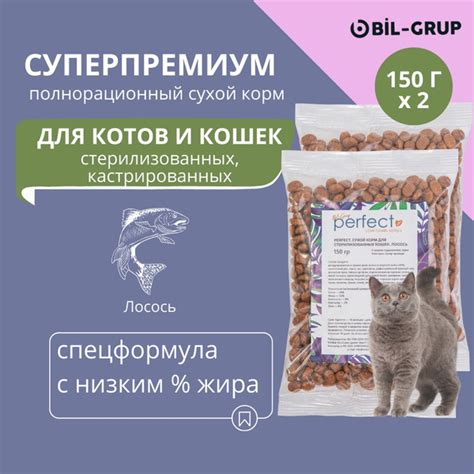 Специальный рацион для котов без селезенки