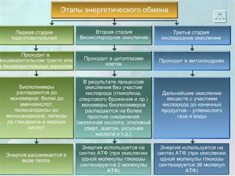 Способы оптимизации энергетического обмена при умственной деятельности