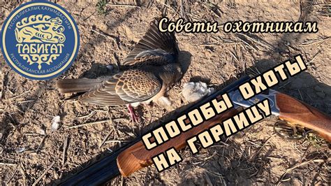 Способы охоты