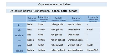 Сравнение глаголов "haben" и "sein" в разных контекстах