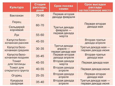 Сроки посева аниса овощного для получения богатого урожая