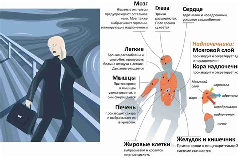 Стресс и его последствия