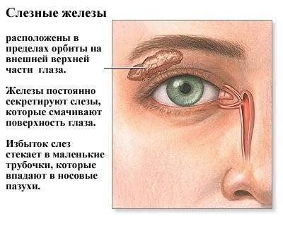 Сухость глаз и другие проблемы