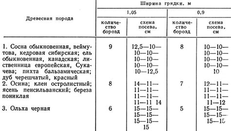 Схемы посадки и глубина высева семян