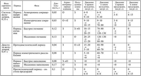 Таблица определения фаз цикла у сук