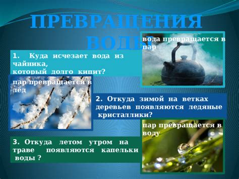 Температура и давление: как они влияют на процесс превращения воды в пар?