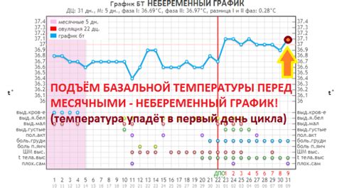 Температура после зачатия: влияние и значение