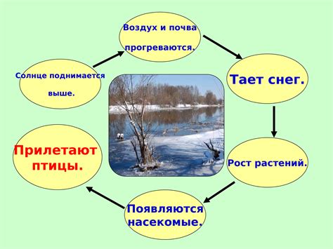 Температурные изменения весной