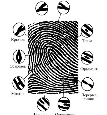 Технологии, используемые при снятии отпечатков пальцев