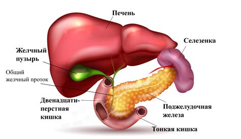 Типичные симптомы расстройств желчного пузыря