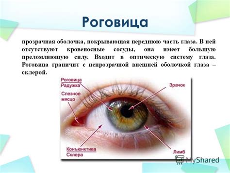 Тонкая роговица: что это такое?