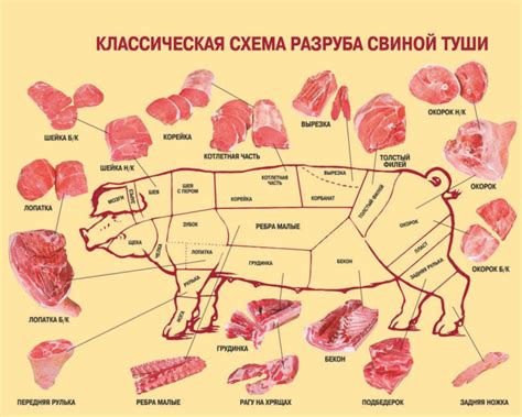 Тонкости подготовки сырой свинины для котов