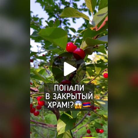 Удивительное открытие в гараже