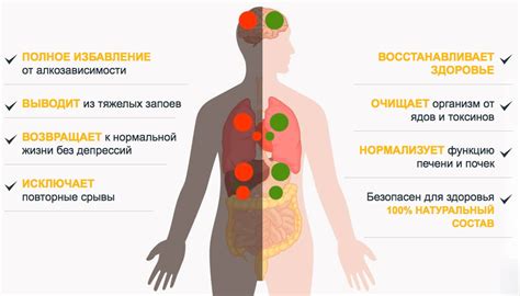 Улучшение внешнего вида организма после отказа от алкоголя