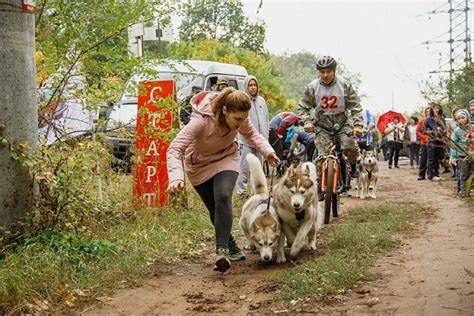 Упражнения для активных игр с собакой