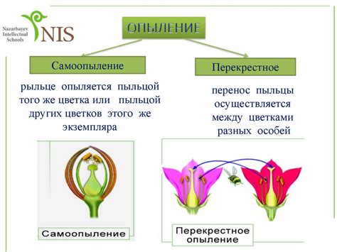 Усиление опыления