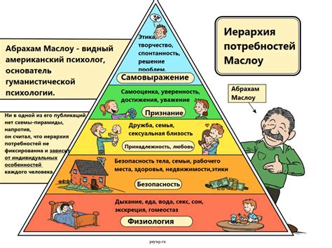 Установить режим и основные потребности