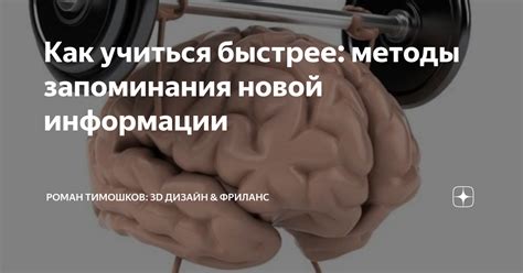 Утреннее время: оптимальный период для запоминания новой информации