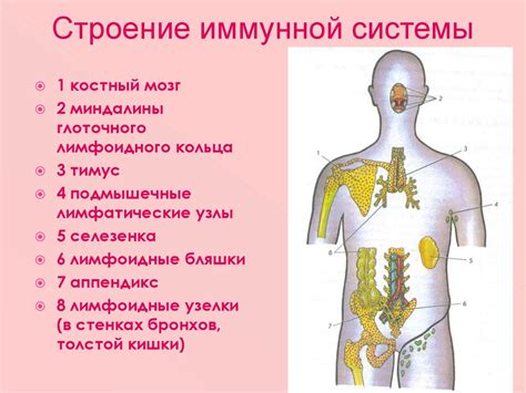 Ухудшение функции иммунной системы