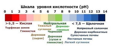 Учитываемая кислотность