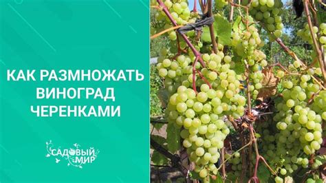 Учитывайте климатические условия региона