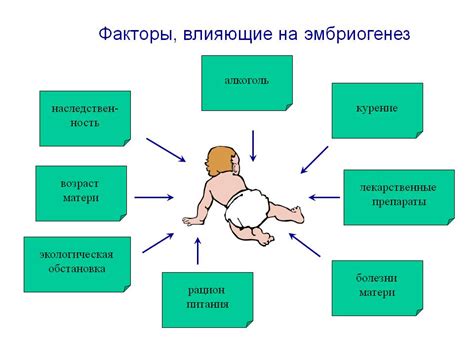 Факторы, влияющие на активность плода