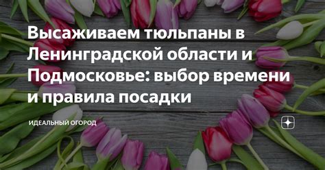 Факторы, влияющие на выбор времени посадки