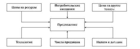 Факторы, влияющие на изменение размера ног