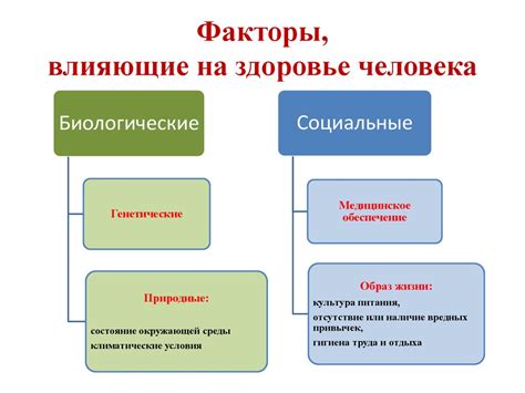 Факторы, влияющие на инертность тела