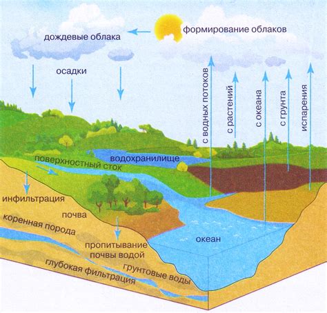 Факторы, влияющие на начало цветения воды в реках