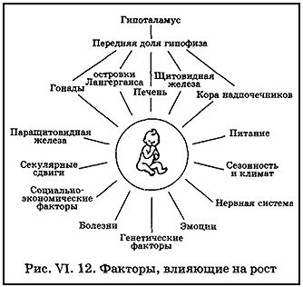 Факторы, влияющие на плодоношение