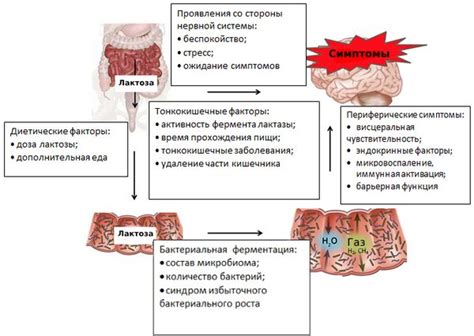 Факторы, влияющие на скорость выздоровления от непереносимости лактозы