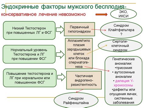 Факторы, влияющие на созревание