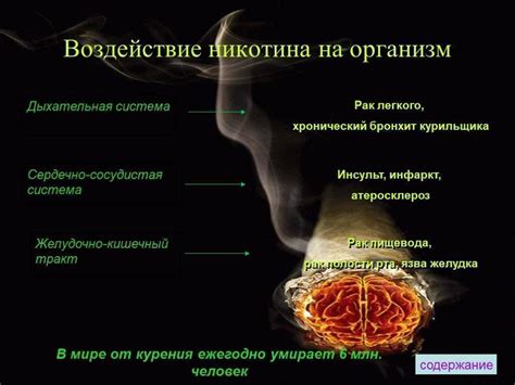 Факторы, влияющие на уровень никотина в организме