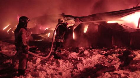 Феникс из пепла: восстановление плато после пожара