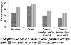 Физиологическая перестройка