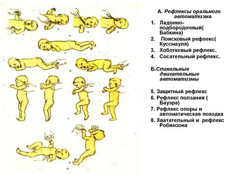 Физиологические особенности детского организма