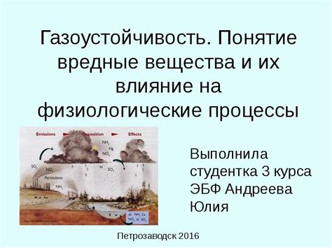 Физиологические процессы и их влияние