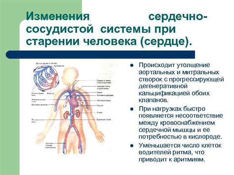 Физические изменения при старении у женщин