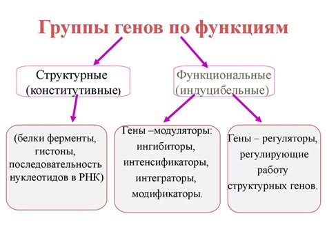 Функциональные и структурные изменения