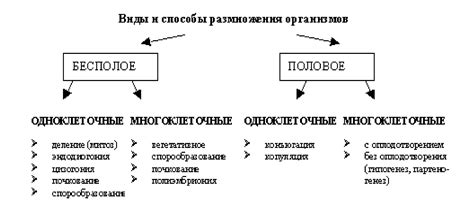 Характеристики и особенности процесса размножения