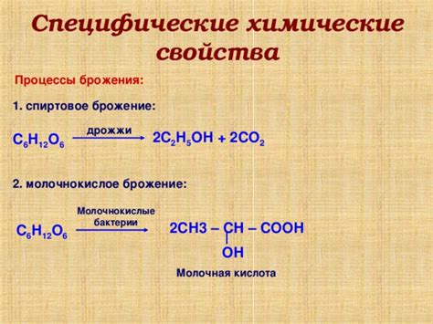 Химические процессы во время брожения