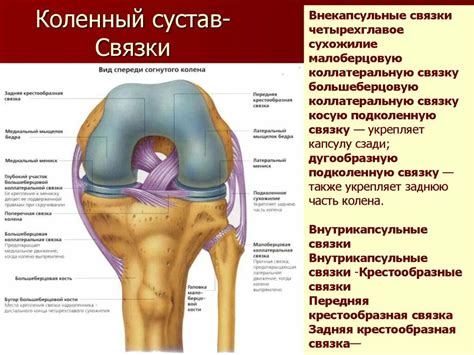 Цель пункции коленного сустава