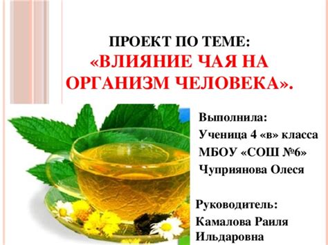 Чашка чая: влияние на организм и преимущества