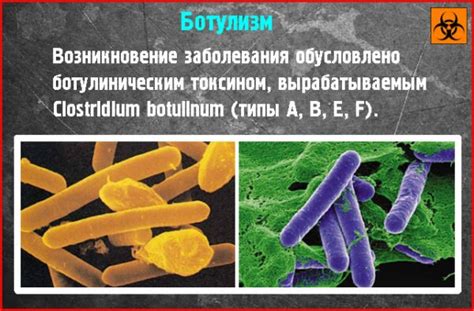 Что вызывает ботулизм в соленых грибах?