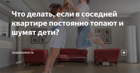 Что делать, если постоянно ударяются птицы