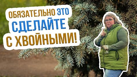 Что нужно знать о подготовке к зиме