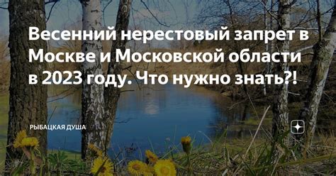 Что ожидать жителям Московской области в 2023 году